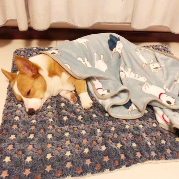 Pet sleeping mat,warm winter blanket for pets(Cat,Dog). - Picture 4 of 6